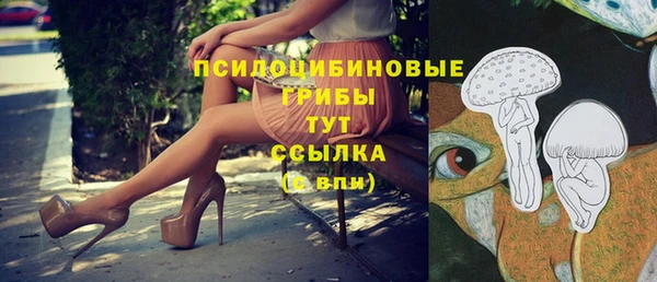 спайс Алзамай