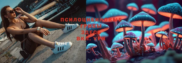 амфетамин Алексеевка