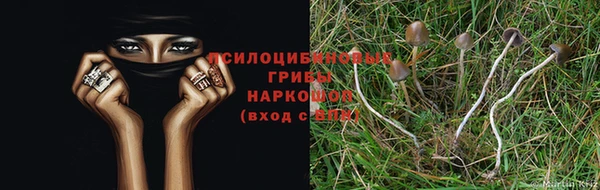 стаф Алексин